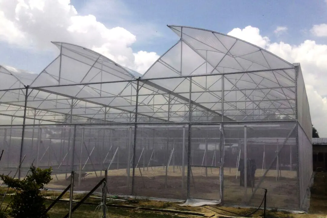 Green House, E-farm